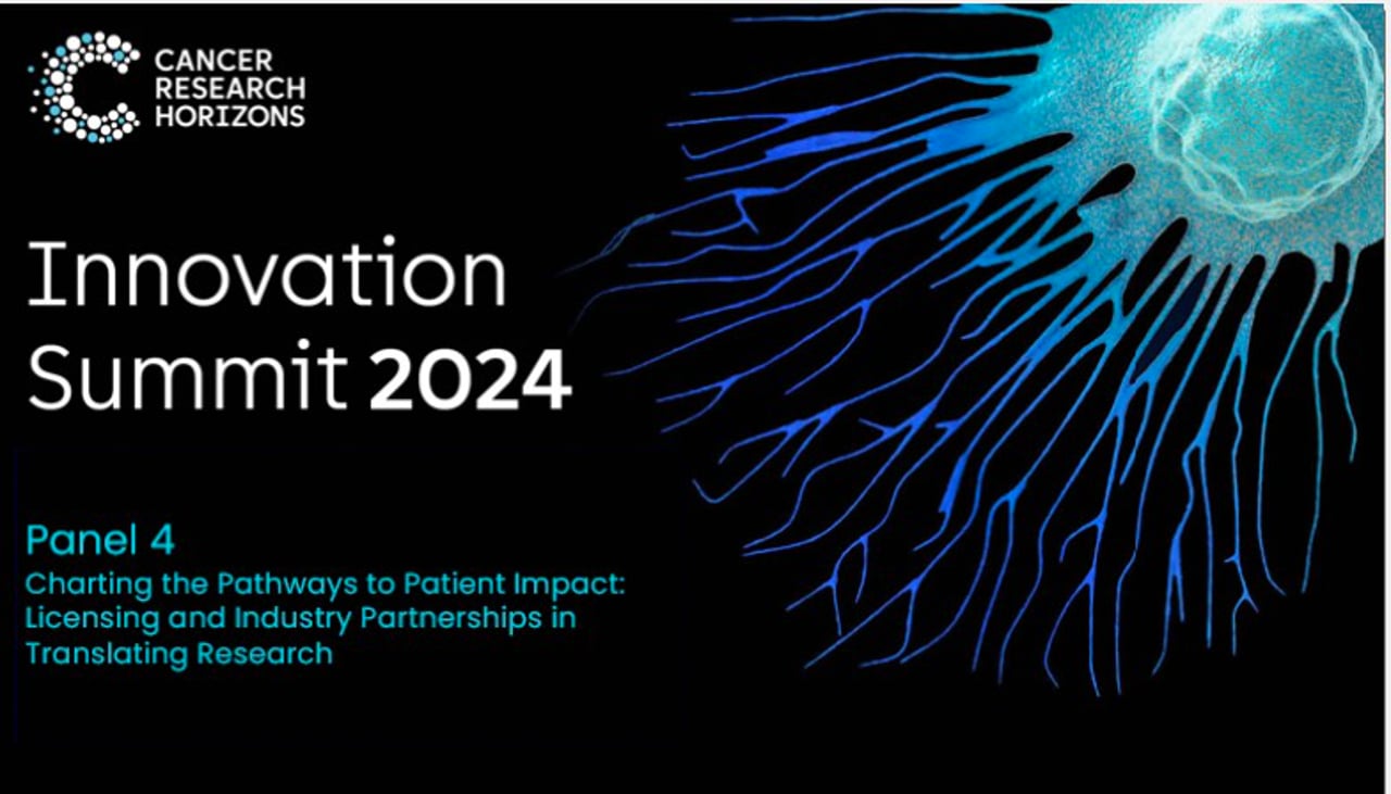 Innovation Summit 2024: Panel 4