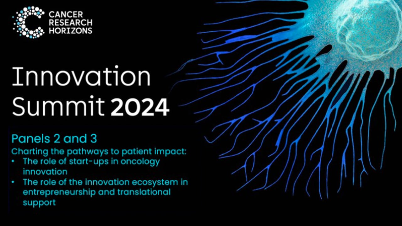 Innovation Summit 2024: Panels 2-3