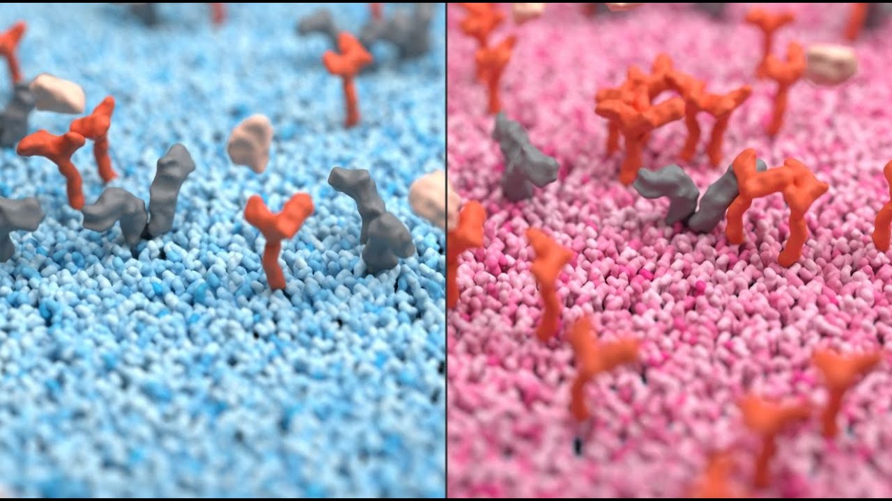 Harnessing the immune system against cancer by targeting CD25 | Cancer Research UK