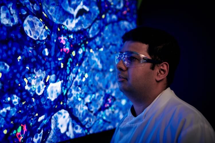 Image of a researcher looking at a cell image