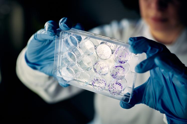 Researcher holding an equipment assay and looking at it