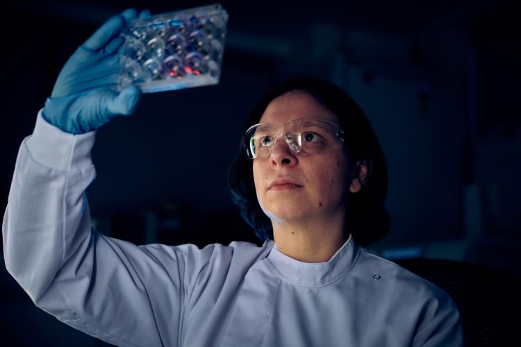 Researcher looking at cells