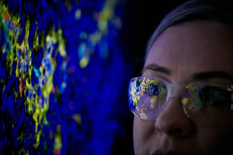 Female researcher looking at a cell image