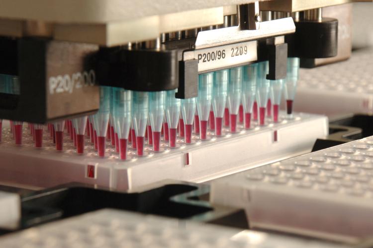 Image of high throughput screening machine pipetting 96 well plate