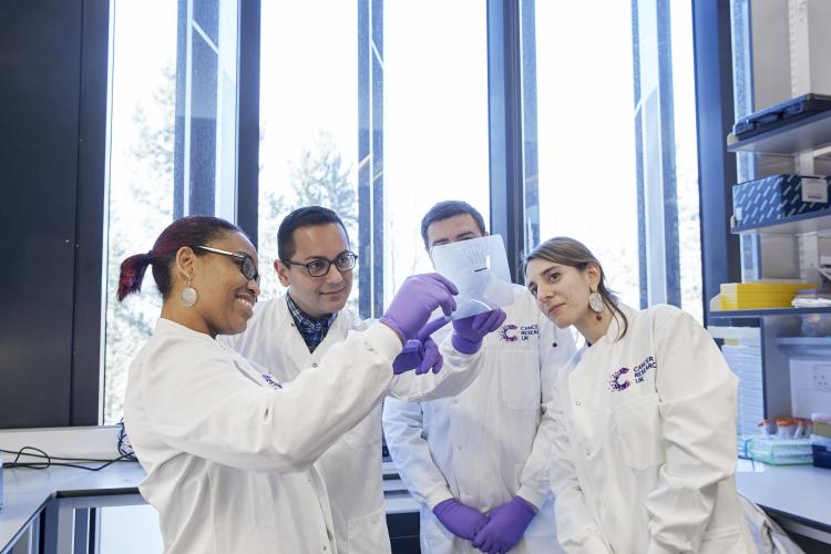 4 scientists