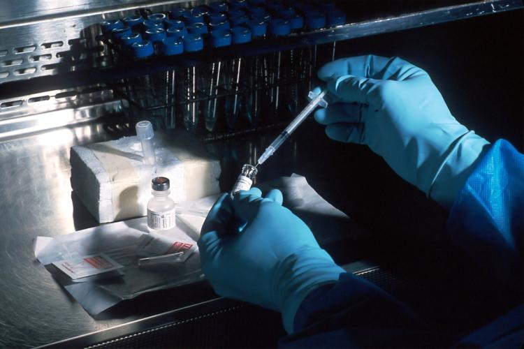 Scientist working in a lab