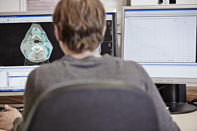 Image of scientist viewing a scan on the computer