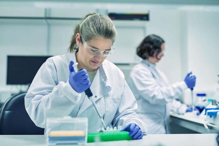 Researcher at the lab bench