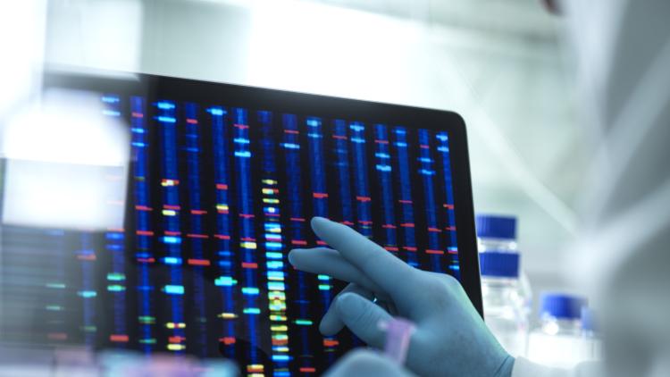An image of a computer screen with data