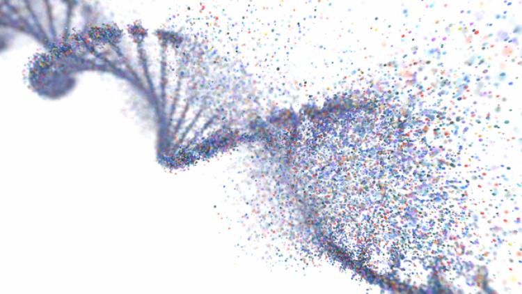 DNA helix