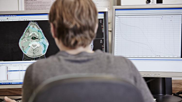 Image of scientist viewing a scan on the computer