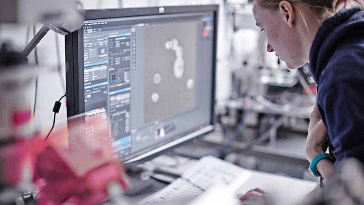 Image of a scientist leaning over, looking closely at a computer screen.