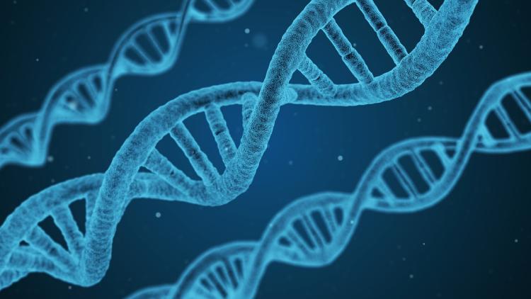 DNA helix string