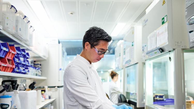 Scientist working in a lab