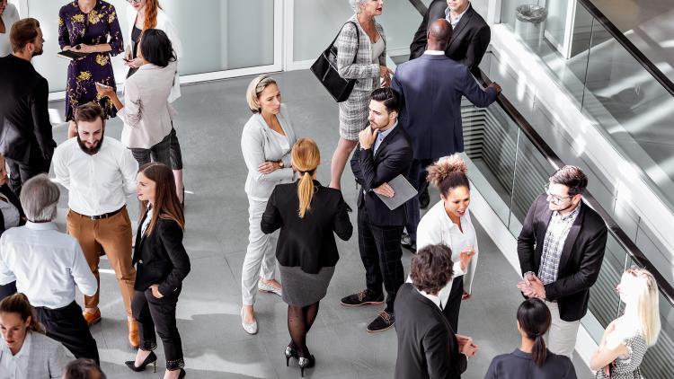 Businesspeople networking