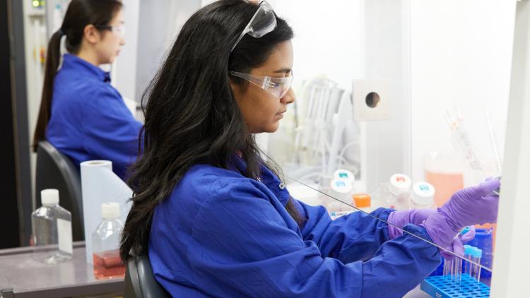 Two researchers working next to each other at a bench
