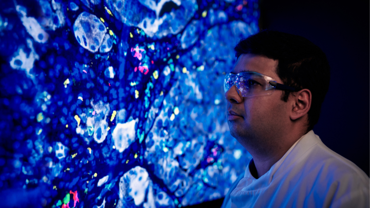 A scientist wearing goggles and a white lab coat looking at a cell image.