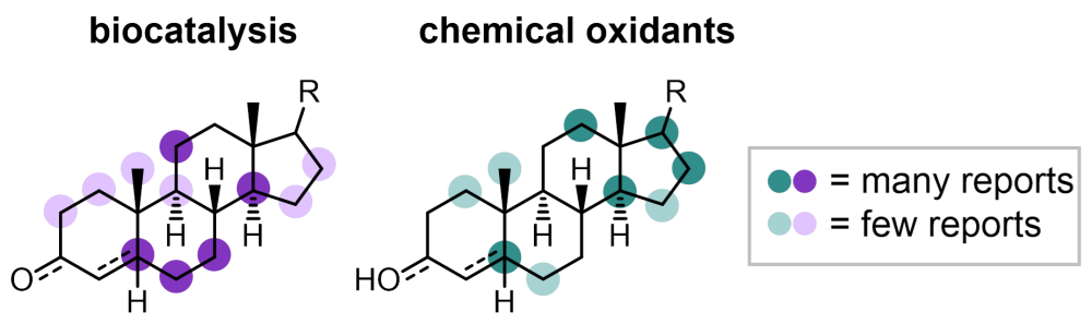 Reports of biocatalytic versus chemical oxidation methods for selective steroid hydroxylation