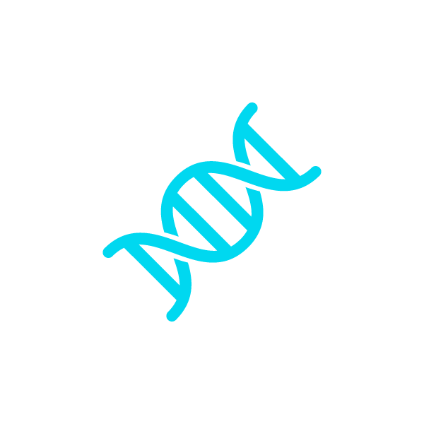 Icon of DNA